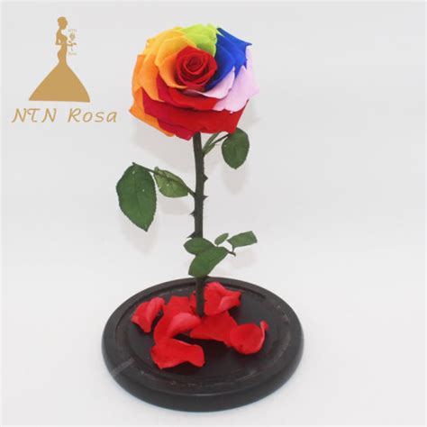China Preserved Real Forever Rainbow Rose with Stem in Glass Dome for ...