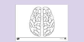 Growth Mind-set V Fixed Mind-set Sorting Activity - Twinkl