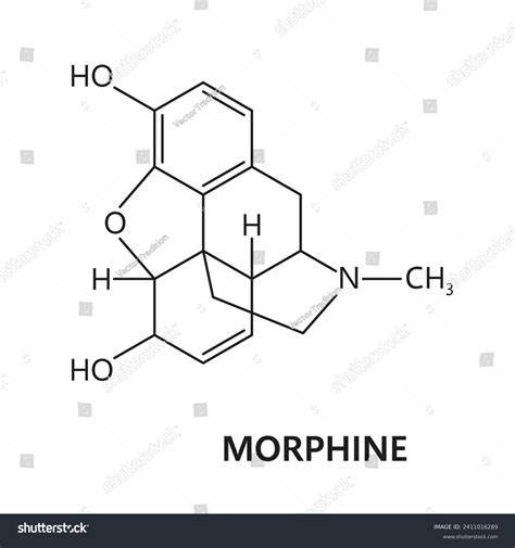 Morphine Drug Molecule Formula Chemical Structure Stock Vector (Royalty Free) 2411016289 ...