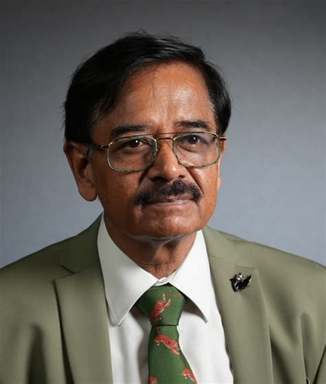 Project Tiger | Nature inFocus