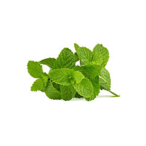 Mint (100g) – Max Green Farms