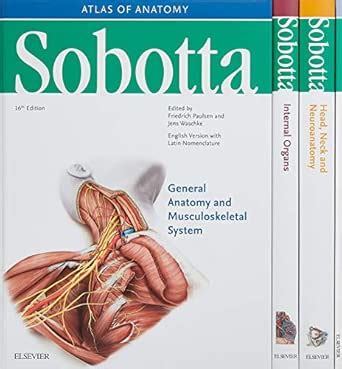 Buy Sobotta Atlas of Anatomy, Package, 16th ed., English/Latin ...