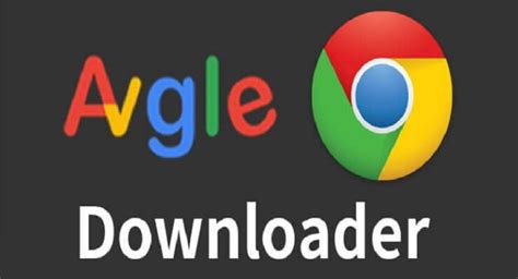 How To Download Videos From Avgle? | GeniusGeeky