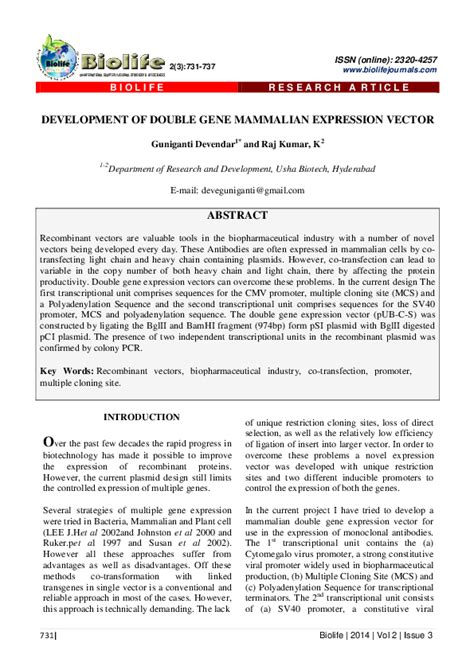 Image result for Mammalian Expression Vector