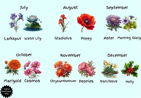 Birth Month Flowers - Downloadable Wildflower - Clipart Birth Month ...