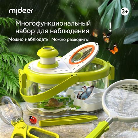 Mideer Детский исследовательский набор 'Юный энтомолог' сачок, лупа и ...