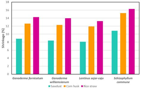 The Fungus Among Us: Innovations and Applications of Mycelium-Based ...