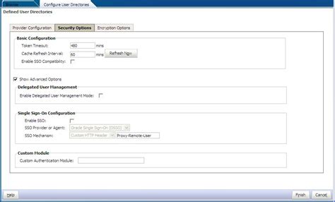 Image result for System Security Options Oracle