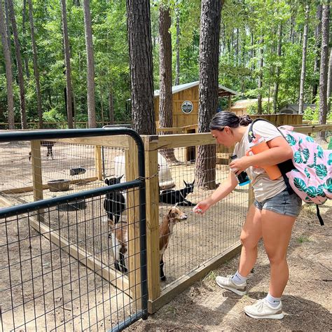 CHARLESTON ADVENTURE FOREST - All You Need to Know BEFORE You Go 2026 ...