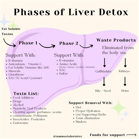The truth behind apple cider vinegar fatty liver detox and health – Artofit