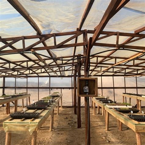 ナミビアの人々を中心に置いた「よりよい復興」（ビルド・バック・ベター）—都市農業計画の実施 | United Nations ...