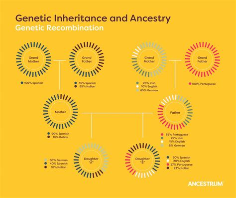 Genetic Inheritance 的图像结果