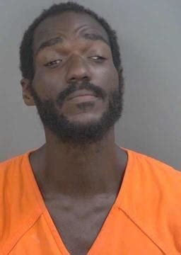 Collier County Arrests... - Collier County Arrests & Mugshots