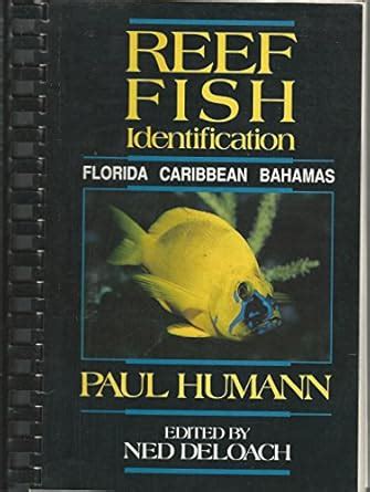 Buy Reef Fish Identification Book Online at Low Prices in India | Reef ...