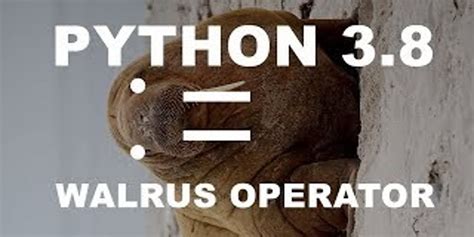 Python Walrus 的图像结果