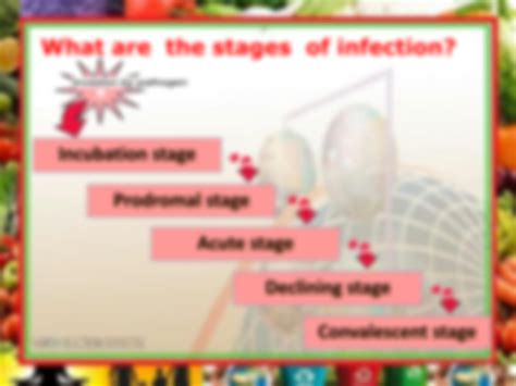 SOLUTION: Stages of Infection - Studypool