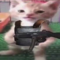 Image result for Rust Cat PFP