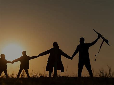 The family as an ecosystem | Meer