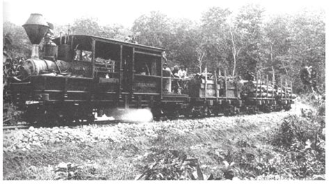 SATHEE: Chapter 04 Forest Society and Colonialism