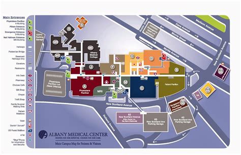 Where Is Albany Medical Center at Agnes Hendricks blog