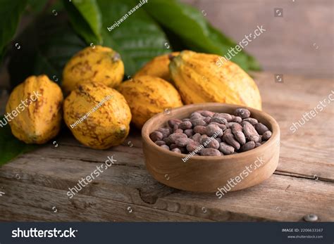 1,718 Exotic Setup Images, Stock Photos & Vectors | Shutterstock