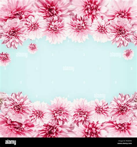 Pastel pink flowers on light blue. Floral frame . Creative layout Stock ...