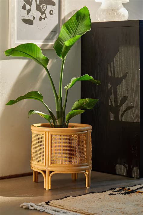 Rattan Plant Pot | Cane Flower Pot | Bamboo Planters - Anala – Akway