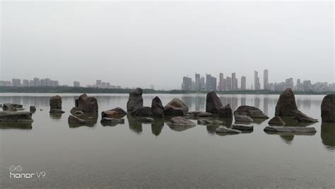 2024龙子湖风景区游玩攻略,蚌埠龙子湖的景色真的很棒，...【去哪儿攻略】