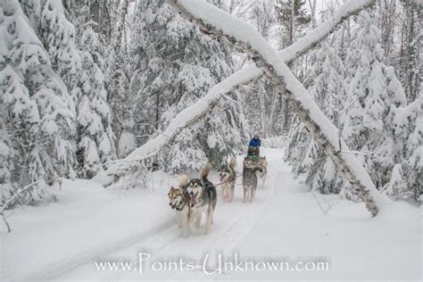 Surfer hit by 'big' creature after paddling out at closed beach: 'Unknown species'