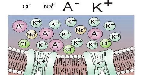 Electrooculography , Seminar Reports | PPT | PDF | DOC | Presentation ...