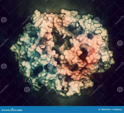 S Gamma Glutamyl Transferase