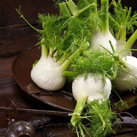 Fennel Vegetable Substitute