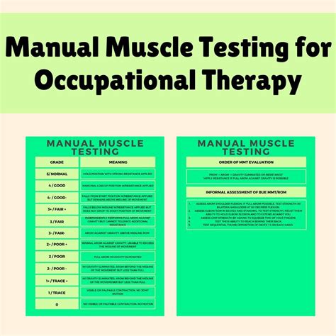 Manual Muscle Testing Guide for Occupational Therapy | OT and COTA ...