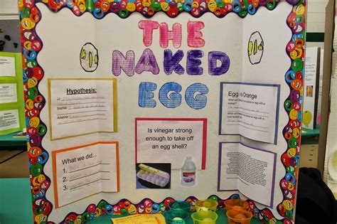 Science Fair Experiments 的图像结果