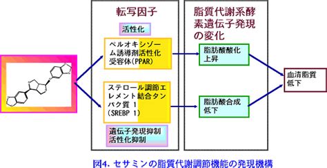 Image result for Examining Class Structures Computer Science