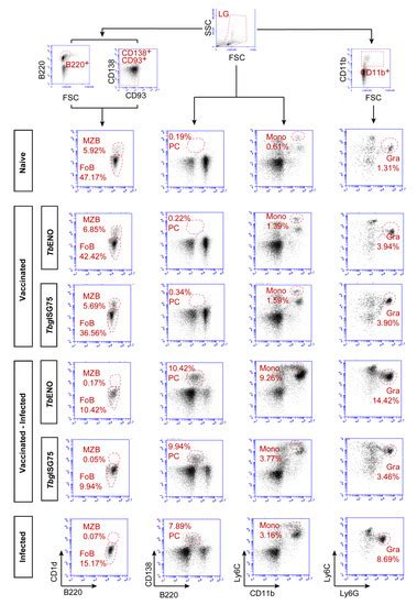 Pathogens | Special Issue : Immunity and Vaccine Development Efforts ...