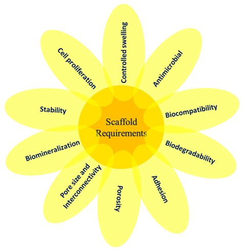 A Comparative Review of Natural and Synthetic Biopolymer Composite ...