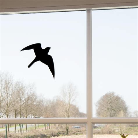 Bird Window Stickers