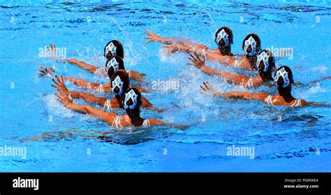 Basic Synchronized Swimming Moves 的图像结果