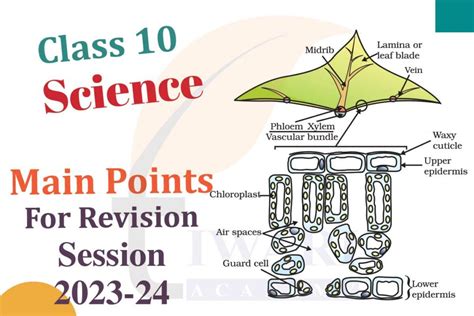 Image result for Class 10 Science Topic List