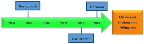 Computational Approaches for the Discovery of Human Proteasome ...