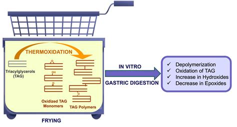 Depolymerization and Oxidation Events in Used Frying Oils Under ...