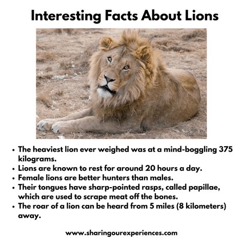 Interesting and fun facts about animals for kids - Sharing Our Experiences