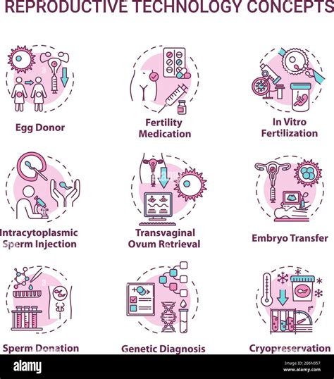Reproductive technology concept icons set. In vitro fertilization. Egg ...
