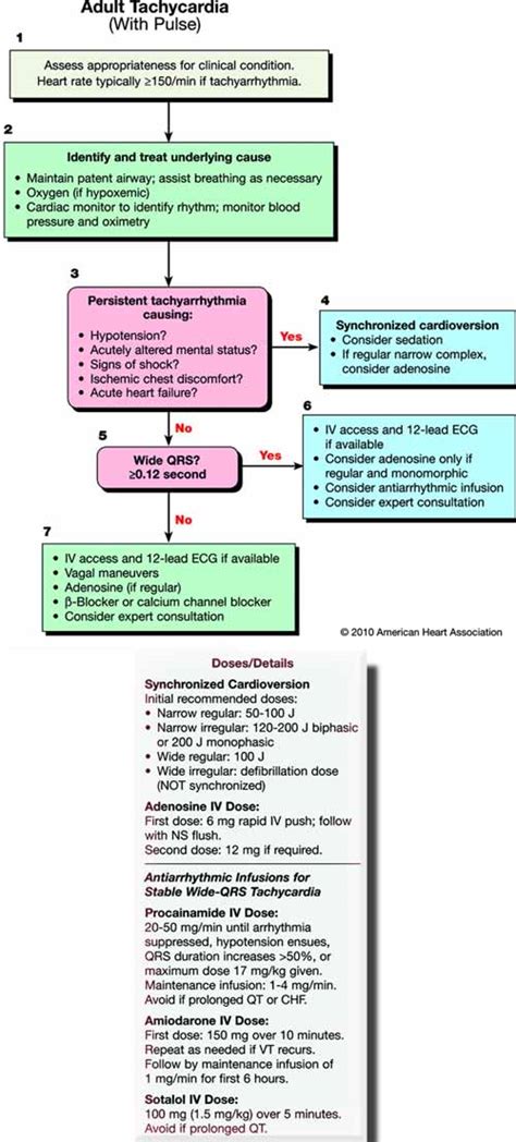 Image result for Tachy Algorithm ACLS