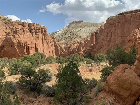 Loop Trail 的图像结果