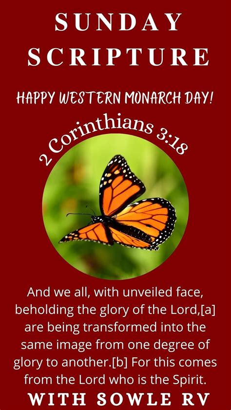 Sunday Scripture 的图像结果