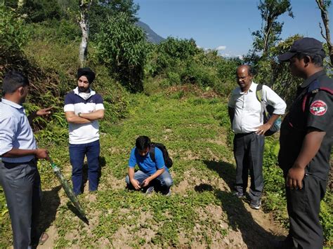 Saffron successfully cultivated in Sikkim for the first time - saffron ...