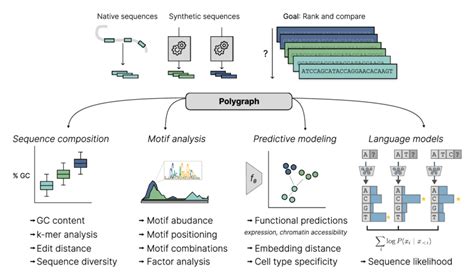 Image result for Polygraph Example