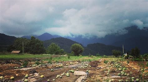 SKY LAND KIYOMIZU (Yamagata-mura) - Hotel Reviews & Photos - Tripadvisor